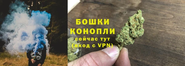 индика Кинешма