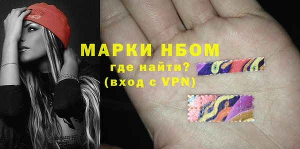 индика Кинешма