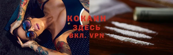 шишки Балашиха