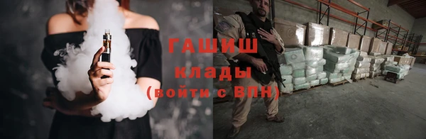 индика Кинешма