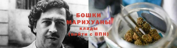 индика Кинешма