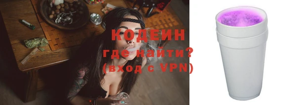 индика Кинешма