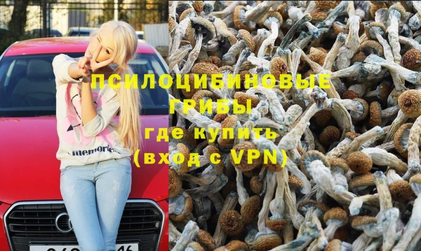 мяу мяу мука Кукмор