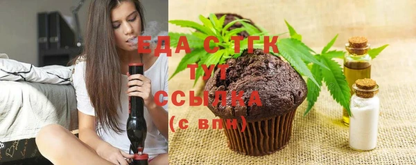 индика Кинешма