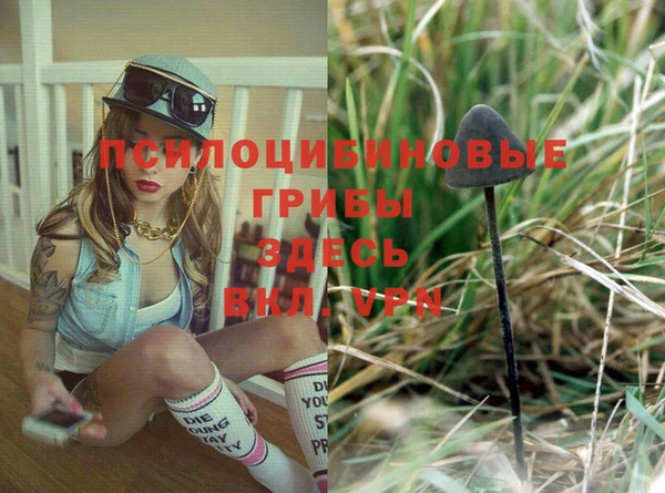 индика Кинешма