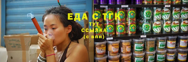 индика Кинешма