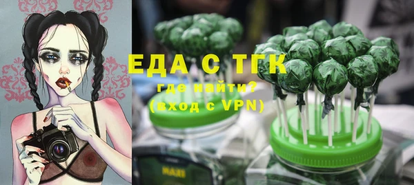 индика Кинешма