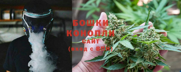 индика Кинешма