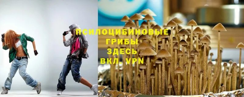 Псилоцибиновые грибы GOLDEN TEACHER  Сарапул 