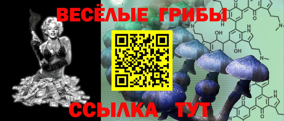 Сарапул  наркотики  Вход с VPN  Псилоцибиновые грибы Psilocybine cubensis  Псилоцибиновые грибы GOLDEN TEACHER 