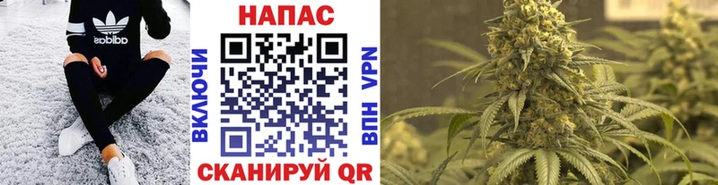 Бошки Шишки ГИДРОПОН  цена   Сарапул 